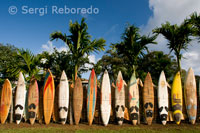 Verja decorada con tablas de surf. Huelo. Maui. Surfing en Hawaii  ¿Qué surfista que se precie de serlo no desea enfrentar olas increíbles como las de Hawaii? La costa norte de Hawaii es famosa por sus grandes y originales olas. Waimea Bay, Sunset Beach…Banzai Pipeline…Haleiwa. Éstos son los destinos principales que tienen como visitantes a miles de profesionales, casi profesionales y amateurs, desde todas partes del mundo cada año. Hawaii es la Meca del surf, un lugar que ostenta algunas de las más altas y limpias olas que existen.   Una verdadera tradición hawaiana ¿En qué lugar del mundo excepto hawaii usted puede llamar a un número de teléfono local (596-SURF en Oahu) y recibir el reporte de surf del día? La costa sur de Oahu es perfecta para los que recién comienzan. El área de Waikiki ofrece a los recién llegados una oportunidad de alquilar tablas y tomar clases en sitios que se destacan por ser buenos para empezar. El invierno (noviembre - abril), es la estación más importante en cuanto al surf en la costa norte de Oahu, con olas de más de 7m (20 pies).  Olas gigantes que se originan en al norte del océano pacífico, llegan a las costas de Hawaii deleitando a los surfistas y a la multitud en general, que inunda las playas. Tenga cuidado: ¡Las grandes olas son para surfistas con experiencia! El surf es uno de los deportes más peligrosos del mundo, hasta el surfista más experimentado puede caer víctima de las fuerzas impredecibles del océano. En la mayoría de los días de verano (mayo - octubre), la rugiente costa norte se convierte en un suave ronroneo, las aguas se tornan dóciles y cristalinas, creando las condiciones especiales para nadar o practicar snorkel. (snorkeling)  Los puntos más conocidos para practicar surf tienen apodos que no siempre va a encontrar en un mapa. La mejor opción es preguntar a los más entendidos para encontrar los puntos que vayan mejor con su nivel de experiencia en cada época del año. Los lugares más populares para el surf en Ohau son: Velzyland, backyards, gas chambers, backdoor, pupukea, log cabins, leftovers, Chun's Reef, Laniakea, Silver Channel, Avalanche, Kaena Point y Walls.  Historia del surf  Sí, los hawaianos son los fundadores originales del "deporte de los reyes", que en hawaiano sería "hee nalu". Luego de la llegada del capitán inglés Cook a las islas, el teniente James King fue el primero en registrar estas inusuales actividades que practicaban los antiguos hawaianos. El Capitán Cook y los demás que no eran hawaianos y que observaban las islas por primera vez, estaban fascinados por la agilidad y dominio de los isleños. Ellos usaban largas tablas talladas de arboles altos para dominar las olas parados con un pie delante del otro o boca abajo, con el cuerpo contra la tabla.  El océano con todo su misterio, ia (pez), que da vida y kai (agua), eran muy reverenciados y respetados como componentes esenciales de supervivencia para los antiguos hawaianos. El océano era cuidadosamente estudiado, sus corrientes y mareas eran observadas en detalle; y la pesca, el surf y los viajes eran estratégicamente planeados. El surf no era sólo un divertimento; requería de gran habilidad, energía, flexibilidad y equilibrio. Un hawaiano que pudiera dominar el arte del surf, entre otras habilidades oceánicas, era muy respetado en la sociedad. Los jefes de alta jerarquía (alii), tenían reservados los mejores puntos en cada isla y practicaban con las mejores tablas.  Tablas de surf  Así como existen maneras de dominar la ola perfecta, también existe el arte de crear el instrumento necesario para capturar esa ola. El surf como deporte, ganó amplia popularidad en comienzos del siglo XX y desde entonces, las distintas maneras de crear tablas de surf comenzaron a aparecer. Las primeras tablas de surf estaban hechas con madera de koa. Normalmente medían 3.5 m (10pies) de largo y podían pesar 68 kg (150 libras). Antes de las técnicas modernas con arena, se utilizaba coral granulado para suavizar la madera, carbón para teñirla y aceite de nuez para el acabado final.  Ya que los conocimientos de física se expandieron y la tecnología también, hoy en día los amantes del surf pueden disfrutar de tablas más efectivas, hidrodinámicas y livianas. La resina y la fibra de vidrio se utilizan para un mejor y más suave acabado, y la suma de la espuma de poliuretano ayuda a la flotabilidad de las tablas, tal es así, que muchos abandonaron rápidamente sus viejas tablas para adquirir las nuevas y renovadas.   La novedad de las tablas más cortas fue muy significativa en el mundo del surf, permitiendo a los que lo practican, tener un mejor manejo y llegar más allá. A finales de los años '60 y principios de los '70, el largo de las tablas pasó de 3.5 m (10 pies) a 1.8 m (6 pies). Toda una nueva raza de "surfistas" comenzaba a experimentar las infinitas posibilidades de maniobras y trucos rápidos.